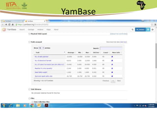 Africa Yam: A project to strengthen yam breeding in west Africa. | PPTX