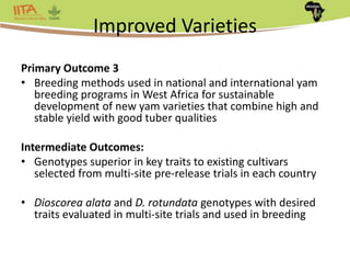 Africa Yam: A project to strengthen yam breeding in west Africa. | PPTX