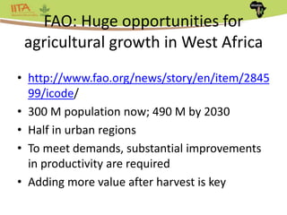Africa Yam: A project to strengthen yam breeding in west Africa. | PPTX