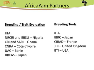 Africa Yam: A project to strengthen yam breeding in west Africa. | PPTX