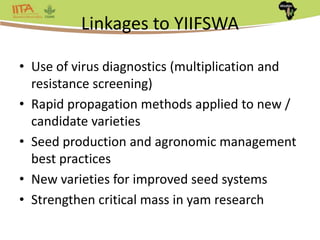 Africa Yam: A project to strengthen yam breeding in west Africa. | PPTX