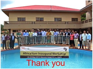 Africa Yam: A project to strengthen yam breeding in west Africa. | PPTX