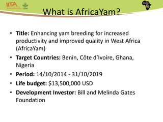 Africa Yam: A project to strengthen yam breeding in west Africa. | PPTX