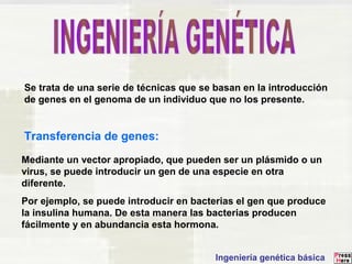 Se trata de una serie de técnicas que se basan en la introducción 
de genes en el genoma de un individuo que no los presente. 
Transferencia de genes: 
Mediante un vector apropiado, que pueden ser un plásmido o un 
virus, se puede introducir un gen de una especie en otra 
diferente. 
Por ejemplo, se puede introducir en bacterias el gen que produce 
la insulina humana. De esta manera las bacterias producen 
fácilmente y en abundancia esta hormona. 
Ingeniería genética básica 
 