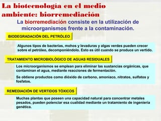 La biotecnología en el medio 
ambiente: biorremediación 
La biorremediación consiste en la utilización de 
microorganismos frente a la contaminación. 
BIODEGRADACIÓN DEL PETRÓLEO 
Algunos tipos de bacterias, mohos y levaduras y algas verdes pueden crecer 
sobre el petróleo, decomponiéndolo. Esto es útil cuando se produce un vertido. 
TRATAMIENTO MICROBIOLÓGICO DE AGUAS RESIDUALES 
Los microorganismos se emplean para eliminar las sustancias orgánicas, que 
contaminan el agua, mediante reacciones de fermentación. 
Se obtiene productos como dióxido de carbono, amoniaco, nitratos, sulfatos y 
fosfatos. 
REMEDIACIÓN DE VERTIDOS TÓXICOS 
Muchas plantas que poseen una capacidad natural para concentrar metales 
pesados, pueden potenciar esa cualidad mediante un tratamiento de ingeniería 
genética. 
 