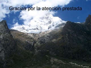 Gracias por la atención prestada 