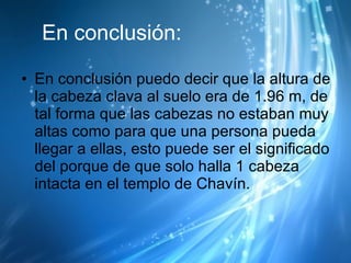 En conclusión: En conclusión puedo decir que la altura de la cabeza clava al suelo era de 1.96 m, de tal forma que las cabezas no estaban muy altas como para que una persona pueda llegar a ellas, esto puede ser el significado del porque de que solo halla 1 cabeza intacta en el templo de Chavín. 