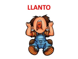 LLANTO
 