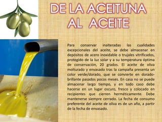 Para conservar inalteradas las cualidades
excepcionales del aceite, se debe almacenar en
depósitos de acero inoxidable o trujales vitrificados,
protegido de la luz solar y a su temperatura óptima
de conservación, 20 grados. El aceite de oliva
molturado y envasado tras la campaña presenta un
color verde/dorado, que se convierte en dorado-
brillante pasados pocos meses. En casa no se puede
almacenar largo tiempo, y en todo caso debe
hacerse en un lugar oscuro, fresco y colocado en
recipientes que cierren herméticamente. Debe
mantenerse siempre cerrado. La fecha de consumo
preferente del aceite de oliva es de un año, a partir
de la fecha de envasado.
 