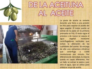 La pasta de aceite se somete
durante una hora a una presión
en frío para separar el aceite del
agua vegetal. El mejor aceite se
extrae de la pasta en la primera
prensada en frío. El resto sigue el
proceso y de nuevo se separa el
agua vegetal mediante
centrifugadoras verticales que
evitan la alteración de las
cualidades del aceite. Se encarga
de ello una extractora cilíndrica
que centrifuga a 3.000
revoluciones por minuto. Por
diferencia de densidad, la mezcla
queda en capas diferentes. Por
un lado se extrae la pasta y por
otro el agua, que se utiliza para
elaborar orujo de aceite.
 
