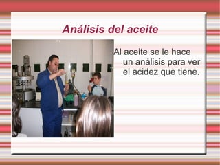 Las tolvas La aceituna va por las tolvas. Son en total 37 tolvas. 