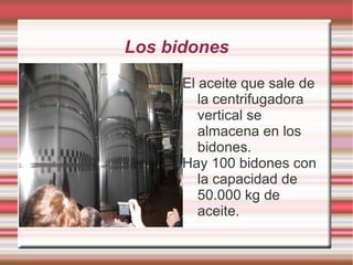 La almazara La aceituna va por unos tubos hacia la almazara. 