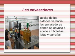 La centrifugadora horizontal Ahora la aceituna va a la centrifugadora horizontal y se va estrujando y se hace una masa que tiene mezcla de agua, de aceite, de pellejo y de hueso. 
