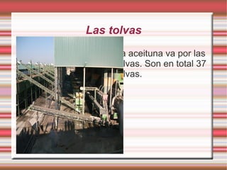 Se dice que es una fábrica de las más grandes y de las más modernas. 