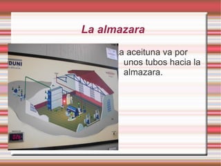 Las Tolvas Los remolques descargan la aceituna en las tolvas. 