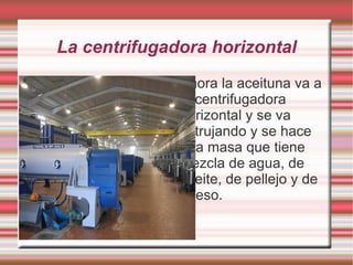 La lavadora La cinta transportadora transporta  la aceituna hasta la lavadora. 