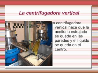 La lavadora limpia la aceituna, es decir le quita el polvo, los palos, las hojas y las piedras. 