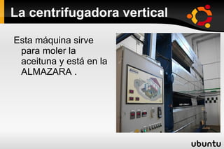 La recepción Esta es la recepción donde se recoge el tiquet de la aceituna,  dentro de ese tiquet pone los kilos  que ha recogido y la parcela de la que viene y la variaedad que puede ser royal o picual. 