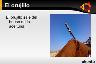 La centrifugadora horizontal Aquí es donde la aceituna molida se convierte en aceite.  