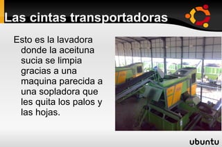 A los bidones le caben unos 50. 000 litros. 