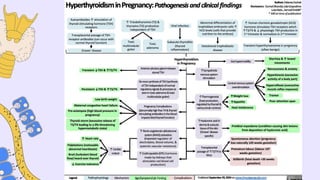 Comprehensive Overview of Hyperthyroidism: Definition, Diagnosis, and ...