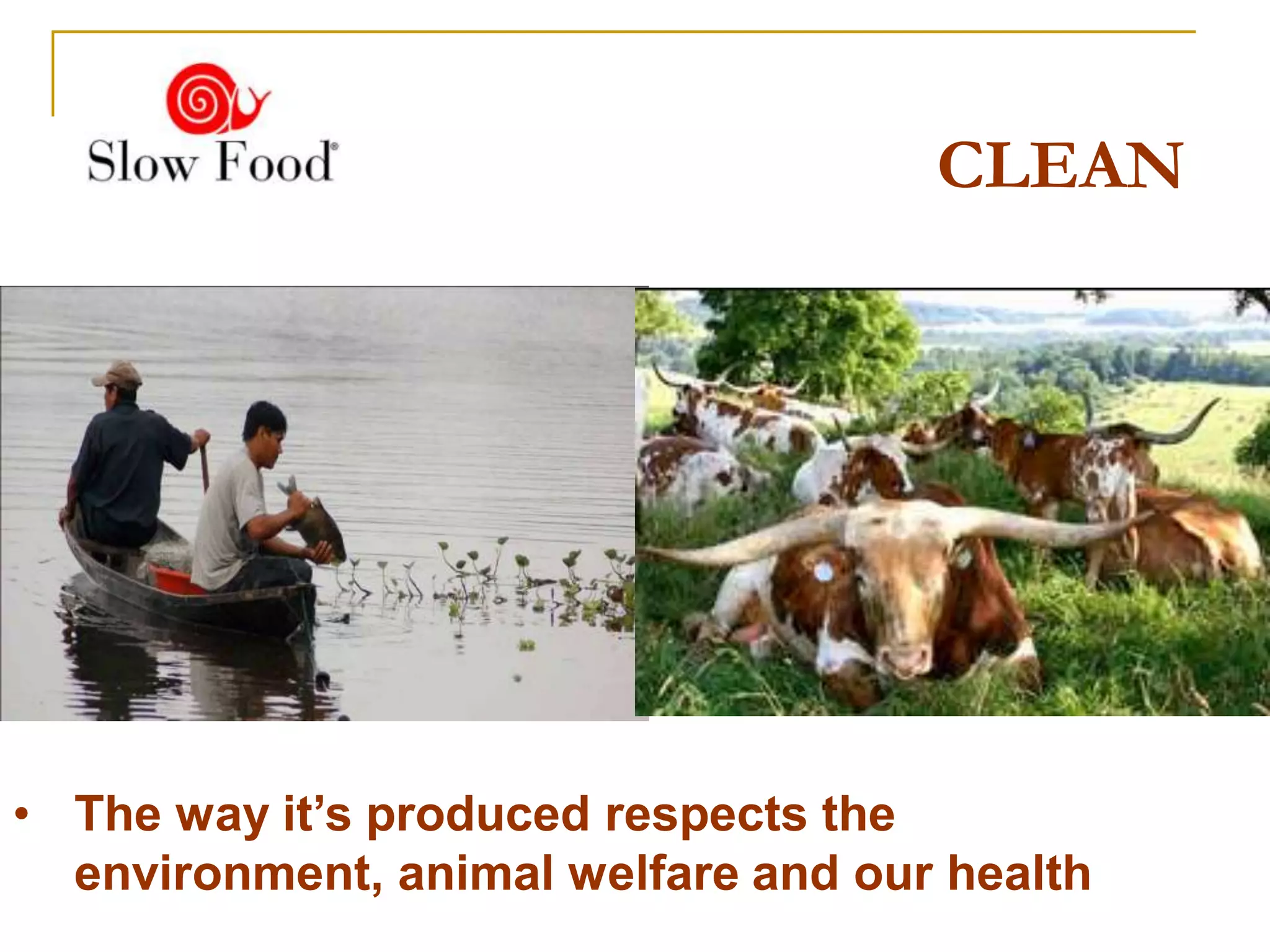 CLEAN




• The way it’s produced respects the
  environment, animal welfare and our health
 