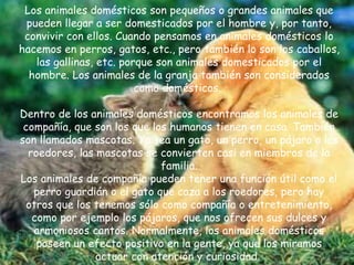 Los animales domésticos son pequeños o grandes animales que
pueden llegar a ser domesticados por el hombre y, por tanto,
convivir con ellos. Cuando pensamos en animales domésticos lo
hacemos en perros, gatos, etc., pero también lo son los caballos,
las gallinas, etc. porque son animales domesticados por el
hombre. Los animales de la granja también son considerados
como domésticos.
Dentro de los animales domésticos encontramos los animales de
compañía, que son los que los humanos tienen en casa. También
son llamados mascotas. Ya sea un gato, un perro, un pájaro o los
roedores, las mascotas se convierten casi en miembros de la
familia.
Los animales de compañía pueden tener una función útil como el
perro guardián o el gato que caza a los roedores, pero hay
otros que los tenemos sólo como compañía o entretenimiento,
como por ejemplo los pájaros, que nos ofrecen sus dulces y
armoniosos cantos. Normalmente, los animales domésticos
poseen un efecto positivo en la gente, ya que los miramos
actuar con atención y curiosidad.
 
