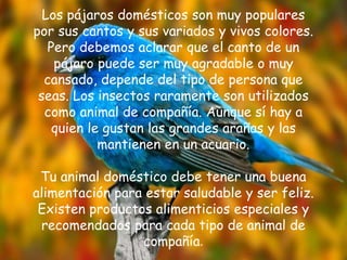 Los pájaros domésticos son muy populares
por sus cantos y sus variados y vivos colores.
Pero debemos aclarar que el canto de un
pájaro puede ser muy agradable o muy
cansado, depende del tipo de persona que
seas. Los insectos raramente son utilizados
como animal de compañía. Aunque sí hay a
quien le gustan las grandes arañas y las
mantienen en un acuario.
Tu animal doméstico debe tener una buena
alimentación para estar saludable y ser feliz.
Existen productos alimenticios especiales y
recomendados para cada tipo de animal de
compañía.
 