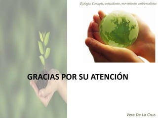 GRACIAS POR SU ATENCIÓN
 