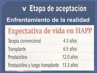 Etapa de aceptación Enfrentamiento de la realidad v