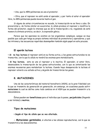 14
▪Una, que la ARN-polimerasa se una al promotor.
▪Otra, que el represor no esté unido al operador, y por tanto al estar el operador
libre, la ARN-polimerasa pueda moverse hasta el gen.
Si alguna de estas circunstancias no sucede, la transcripción no se lleva a cabo. En
procariotas y, de forma similar en eucariotas, la célula produce el represor o modifica la
forma del promotor, según le interese que se dé la transcripción o no, regulando de está
manera la síntesis proteica, es decir, la expresión génica.
Parece que los operones no existen en los organismos complejos, aunque es muy
posible que cada gen tenga su propio sistema individual de promotores y operadores, y que
los intrones y las secuencias repetidas desempeñen también algún papel en este proceso.
El operón lactosa
▪Si no hay lactosa el represor está en su forma activa, y los genes estructurales no se
transcribe, con lo que la célula no tendrá los enzimas para metabolizarla.
▪Si hay lactosa, esta se une al represor y lo inactiva. El operador, al estar libre,
desencadena la transcripción de los genes estructurales, con lo que se sintetizarán las
enzimas necesarias para metabolizar la lactosa. Cuando haya desaparecido la lactosa el
represor volverá a su estado activo y dejarán de transcribirse los genes.
8. MUTACIONES
Una de las características del material hereditario (ADN), es la gran fidelidad con
la que se transmite de generación en generación, sin embargo, en ocasiones puede sufrir
mutaciones la cual se define como todo cambios en el ADN que se pueden transmitir a la
descendencia.
Éstas pueden ser beneficiosas para el individuo que la posee, perjudiciales (llegando
a ser letales) o neutras.
Tipos de mutaciones
▪Según el tipo de célula que se vea afectada.
- Mutaciones germinales, si afectan a las células reproductoras, con lo que se
transmitirá a los descendientes.
 