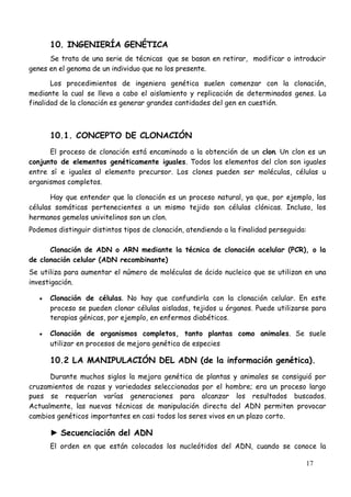 17
10. INGENIERÍA GENÉTICA
Se trata de una serie de técnicas que se basan en retirar, modificar o introducir
genes en el genoma de un individuo que no los presente.
Los procedimientos de ingeniera genética suelen comenzar con la clonación,
mediante la cual se lleva a cabo el aislamiento y replicación de determinados genes. La
finalidad de la clonación es generar grandes cantidades del gen en cuestión.
10.1. CONCEPTO DE CLONACIÓN
El proceso de clonación está encaminado a la obtención de un clon. Un clon es un
conjunto de elementos genéticamente iguales. Todos los elementos del clon son iguales
entre sí e iguales al elemento precursor. Los clones pueden ser moléculas, células u
organismos completos.
Hay que entender que la clonación es un proceso natural, ya que, por ejemplo, las
células somáticas pertenecientes a un mismo tejido son células clónicas. Incluso, los
hermanos gemelos univitelinos son un clon.
Podemos distinguir distintos tipos de clonación, atendiendo a la finalidad perseguida:
Clonación de ADN o ARN mediante la técnica de clonación acelular (PCR), o la
de clonación celular (ADN recombinante)
Se utiliza para aumentar el número de moléculas de ácido nucleico que se utilizan en una
investigación.
 Clonación de células. No hay que confundirla con la clonación celular. En este
proceso se pueden clonar células aisladas, tejidos u órganos. Puede utilizarse para
terapias génicas, por ejemplo, en enfermos diabéticos.
 Clonación de organismos completos, tanto plantas como animales. Se suele
utilizar en procesos de mejora genética de especies
10.2 LA MANIPULACIÓN DEL ADN (de la información genética).
Durante muchos siglos la mejora genética de plantas y animales se consiguió por
cruzamientos de razas y variedades seleccionadas por el hombre; era un proceso largo
pues se requerían varías generaciones para alcanzar los resultados buscados.
Actualmente, las nuevas técnicas de manipulación directa del ADN permiten provocar
cambios genéticos importantes en casi todos los seres vivos en un plazo corto.
► Secuenciación del ADN
El orden en que están colocados los nucleótidos del ADN, cuando se conoce la
 