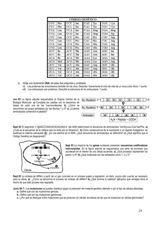 24
AA A A A ~3´5´~Ac. Nucleico
AA AA AAnticodón
H2N ~ Péptido ~ COOH
Ac. Nucleico 3´~ C CC CC ~5´
11
22
AA A A A ~3´5´~ AA A A AAA A A A ~3´5´~Ac. Nucleico
AA AA AAA AA AAnticodón
H2N ~ Péptido ~ COOH
Ac. Nucleico 3´~ C CC CC ~5´C CC CC ~5´
11
22
b) (Elige una (solamente UNA) de estas dos preguntas y contéstala:
cI) Las proteínas las encontramos también en los virus. Describe brevemente el ciclo de vida de un virus (ciclo lítico). 1 punto.
cII) Los anticuerpos son proteínas. Describe la estructura de los anticuerpos. 1 punto.
Jun 03 La figura adjunta esquematiza el Dogma Central de la
Biología Molecular. a) Completa las casillas con la secuencia de
bases de cada una de las macromoléculas. b) ¿Cómo se
denominan los pasos señalados por las flechas 1 y 2? c) ¿Cuántos
aminoácidos contendrá el péptido?
Sept 03 El segmento 3´-CAACCCAACACACACAAA-5´ del ADN determinará la secuencia de aminoácidos Val-Gly-Leu-Cys-Val-Phe. a)
¿Cuál es la secuencia de la cadena que es leída por el ribosoma? b) Como consecuencia de la exposición a un agente mutagénico, se
sustituye la cisteína subrayada (C) por una alanina en el ADN. ¿Qué secuencia de aminoácidos se obtendría? c) ¿Qué significa que el
Código Genético es degenerado?
Sept 03 La mayoría de los genes nucleares presentan secuencias codificadoras
interrumpidas. En la figura adjunta se esquematiza una serie de procesos que
acontecen en el interior de una célula eucariota. a) ¿Qué procesos representan los
pasos I y II? b) ¿Qué moléculas son las señaladas como 1, 2 y 3?
Sept 03 La síntesis de ARNm a partir de un gen concreto es un proceso sujeto a regulación, es decir, ocurre sólo cuando es necesario
para la célula. a) ¿Cómo se denomina el proceso de síntesis de ARNm? b) ¿Qué enzima la cataliza? c)Explica qué ventajas tiene el
hecho de que este proceso sea regulable.
Junio 04 7.- Las mutaciones se pueden clasificar según la extensión del material genético alterado o por el tipo de células afectadas.
a.- Define qué son las mutaciones génicas.
b.- Define qué son las mutaciones genómicas
c.- ¿Por qué se distingue entre mutaciones que se producen en células somáticas de las que se ocasionan en células germinales?
33
5´
1
3´
3´ 5´
I
II 2
3
Célula
5´ 3´
33
5´
1
3´
3´ 5´
I
II 2
3
Célula
5´ 3´
 