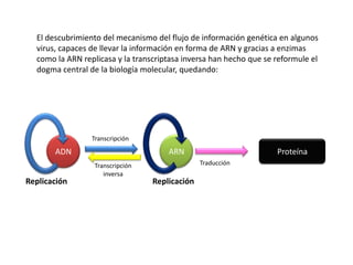 El descubrimiento del mecanismo del flujo de información genética en algunos
  virus, capaces de llevar la información en forma de ARN y gracias a enzimas
  como la ARN replicasa y la transcriptasa inversa han hecho que se reformule el
  dogma central de la biología molecular, quedando:




                 Transcripción
       ADN                            ARN                           Proteína
                  Transcripción                 Traducción
                     inversa
Replicación                       Replicación
 