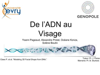 De l’ADN au
Visage
Yoann Pageaud, Alexandre Protat, Océane Konza,
Solène Boutin
Tuteur: Pr. J. Perea
Marraine: Pr. B. Sturbois
Claes P. et al. “Modeling 3D Facial Shape from DNA.”
 