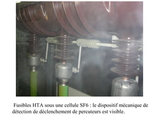 Fusibles HTA sous une cellule SF6 : le dispositif mécanique de
détection de déclenchement de percuteurs est visible.
 