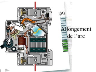 Allongement
de l’arc
 