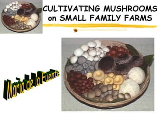 CULTIVATING MUSHROOMS
 on SMALL FAMILY FARMS
 