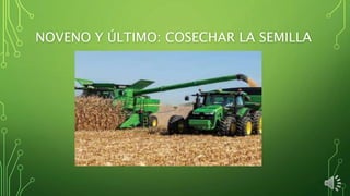 NOVENO Y ÚLTIMO: COSECHAR LA SEMILLA
 