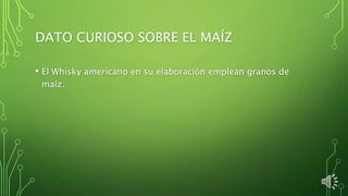 DATO CURIOSO SOBRE EL MAÍZ
• El Whisky americano en su elaboración emplean granos de
maíz.
 