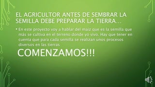 EL AGRICULTOR ANTES DE SEMBRAR LA
SEMILLA DEBE PREPARAR LA TIERRA…
• En este proyecto voy a hablar del maíz que es la semilla que
más se cultiva en el terreno donde yo vivo. Hay que tener en
cuenta que para cada semilla se realizan unos procesos
diversos en las tierras
COMENZAMOS!!!
 