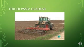 TERCER PASO: GRADEAR
 