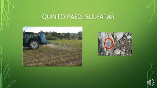 QUINTO PASO: SULFATAR
 