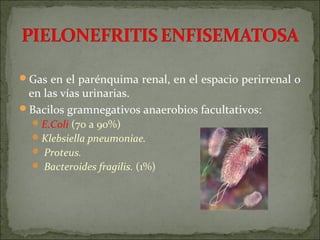 Gas en el parénquima renal, en el espacio perirrenal o
 en las vías urinarias.
Bacilos gramnegativos anaerobios facultativos:
   E.Coli (70 a 90%)
   Klebsiella pneumoniae.
   Proteus.
   Bacteroides fragilis. (1%)
 