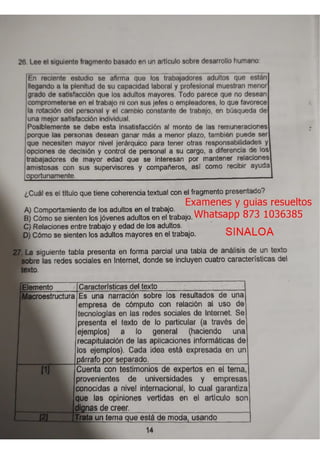 De la informacion al conocimiento sinaloa.pdf