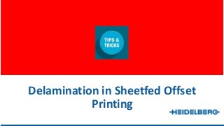 Delamination in Sheetfed Offset
Printing
 