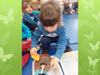 De la semilla a la planta