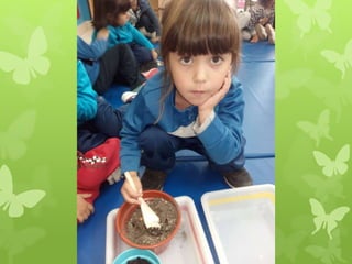 De la semilla a la planta