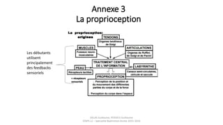 Annexe 3
La proprioception
DELAS Guillaume, POSSICH Guillaume
STAPS L2 – Spécialité Badminton Année 2015-2016
Les débutants
utilisent
principalement
des feedbacks
sensoriels
 