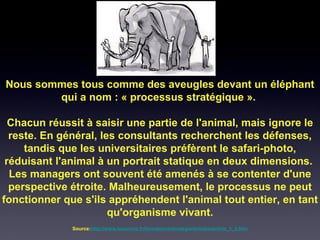 Nous sommes tous comme des aveugles devant un éléphant qui a nom : « processus stratégique ».  Chacun réussit à saisir une partie de l'animal, mais ignore le reste. En général, les consultants recherchent les défenses, tandis que les universitaires préfèrent le safari-photo, réduisant l'animal à un portrait statique en deux dimensions.  Les managers ont souvent été amenés à se contenter d'une perspective étroite. Malheureusement, le processus ne peut fonctionner que s'ils appréhendent l'animal tout entier, en tant qu'organisme vivant. Source: http://www.lesechos.fr/formations/strategie/articles/article_1_3.htm 